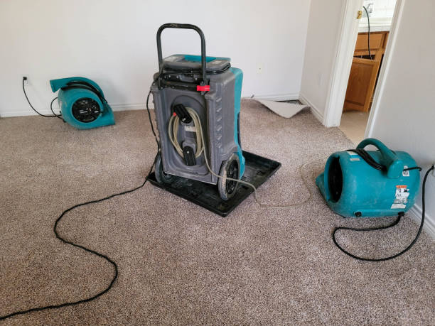 Best 24-hour water damage restoration  in Benld, IL