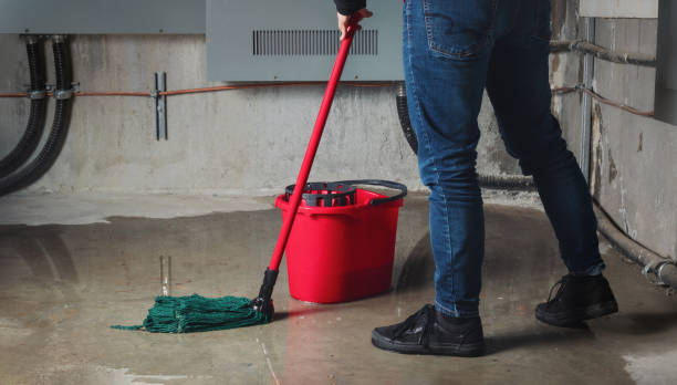 Best Mold removal after water damage  in Benld, IL