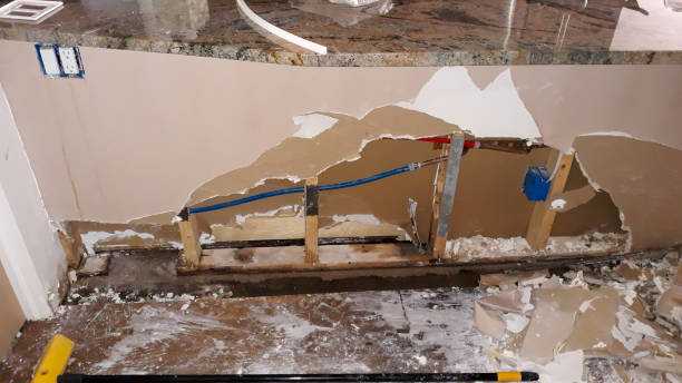 Best Flood damage cleanup  in Benld, IL