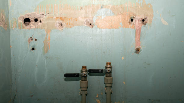 Best Water damage restoration near me  in Benld, IL