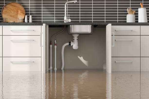 Best Sewage cleanup and water damage restoration  in Benld, IL