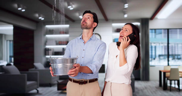 Best Water damage contractors near me  in Benld, IL