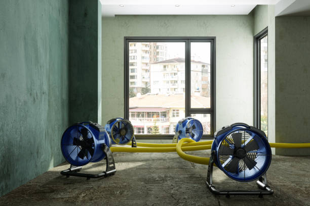 Best Commercial water damage restoration  in Benld, IL